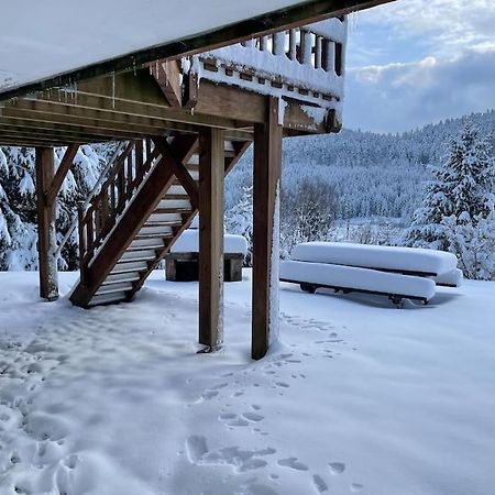 Ban-sur-Meurthe-Clefcy Chalet Situe Au Grand Valtin 빌라 외부 사진