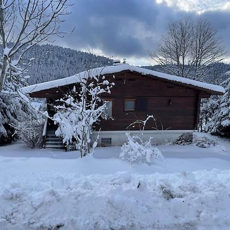 Ban-sur-Meurthe-Clefcy Chalet Situe Au Grand Valtin 빌라 외부 사진