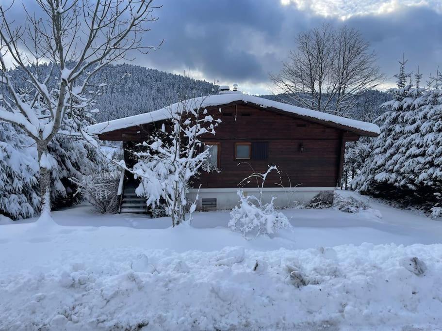 Ban-sur-Meurthe-Clefcy Chalet Situe Au Grand Valtin 빌라 외부 사진