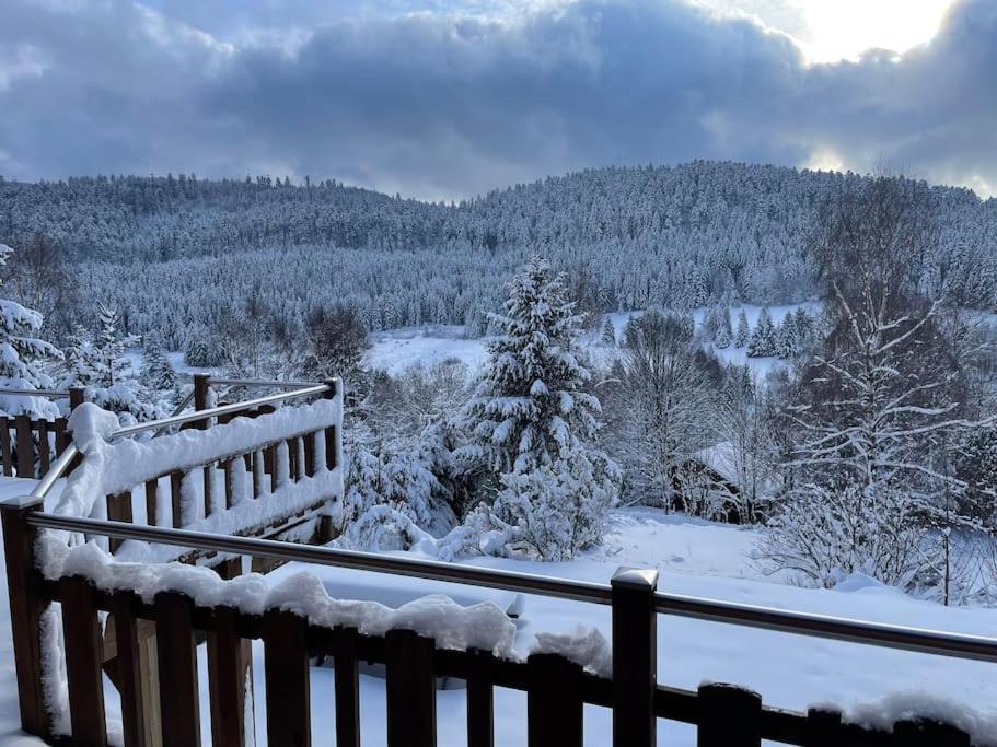 Ban-sur-Meurthe-Clefcy Chalet Situe Au Grand Valtin 빌라 외부 사진