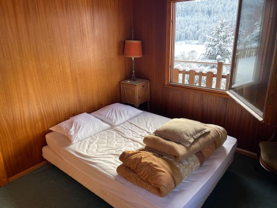 Ban-sur-Meurthe-Clefcy Chalet Situe Au Grand Valtin 빌라 외부 사진